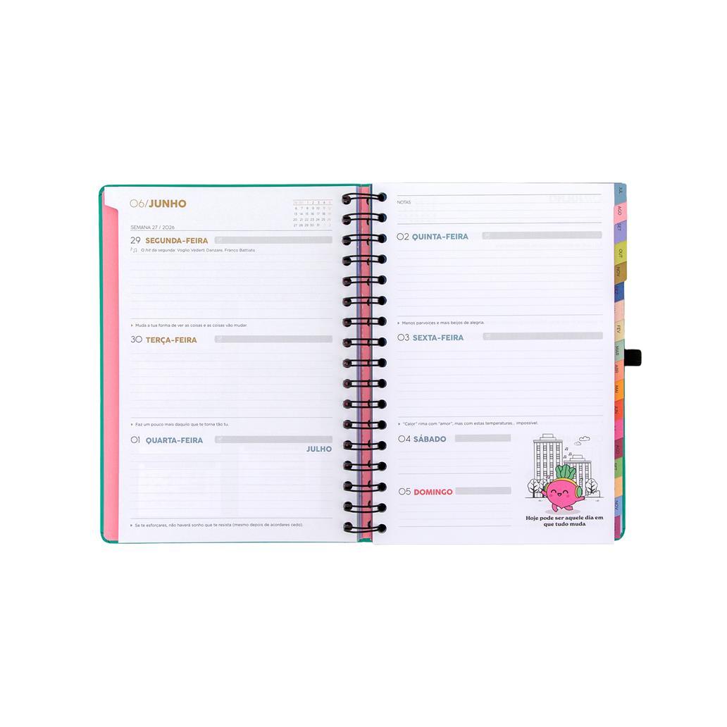 Agenda Semanal 18 Meses Sonha Muito, Vive Livre | Mr. Wonderful