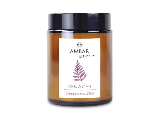Bougie Ambar Zen Renacer