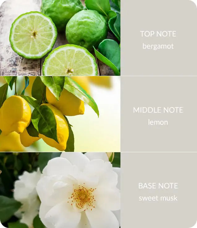 Difusor de Fragrância Anjo da Guarda | Heart & Home